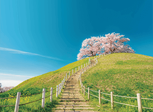 はじめてのNISA・日本株式インデックス（日経225）　愛称：Funds-i Basic 日本株式（日経225）